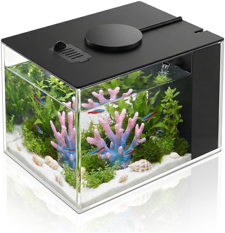DaToo 1 Gallon Betta Tank Kit with Side Filter