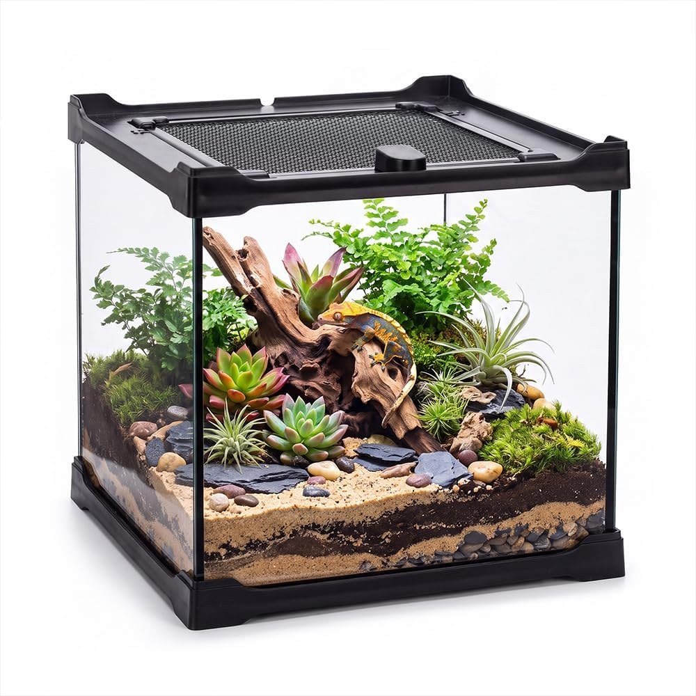 DaToo Small Glass Terrarium with Screen Top